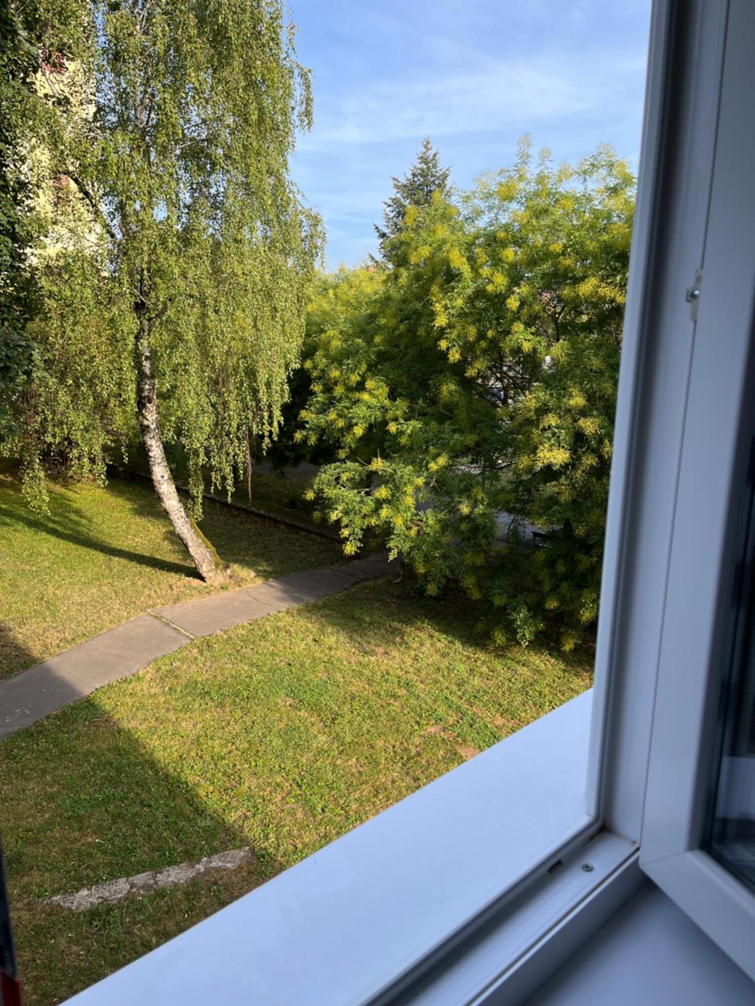 Kelemen Apartman Nagykanizsa Eksteriør billede